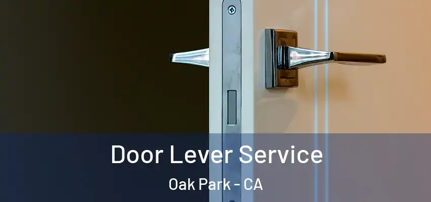  Door Lever Service Oak Park - CA