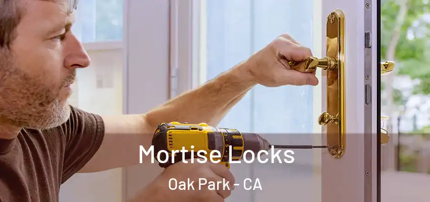  Mortise Locks Oak Park - CA